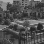 Masiha-BG-Footer